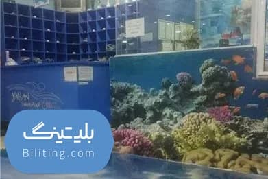 استخر یاران قم